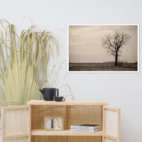 Lonely Tree in Black and White Rural Landscape Framed Photo Paper Wall Art Prints