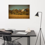 Abandoned Barn In The Trees Color Tone Framed Photo Paper Wall Art Prints