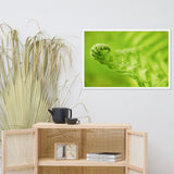 Fern Curl Botanical Nature Photo Framed Wall Art Print