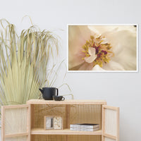 Eye of Peony Moody Midnight Floral Nature Photo Framed Wall Art Print