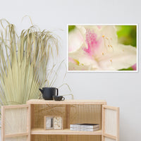 Japanese Azalea Floral Nature Photo Framed Wall Art Print