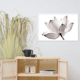 Lotus Flower Tinted Effect Floral Nature Framed Photo Paper Poster
