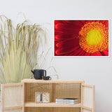 Nature's Beauty Floral Nature Photo Framed Wall Art Print