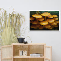 Mushroom Family Botanical Nature Photo Framed Wall Art Print