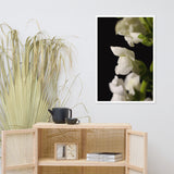 Single Snapdragon Bloom Floral Nature Photo Framed Wall Art Print