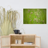 Softened Fields Botanical Nature Photo Framed Wall Art Print