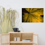 Seasons Change Botanical Nature Photo Framed Wall Art Print