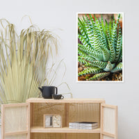 Succulent 2 Botanical Nature Photo Framed Wall Art Print