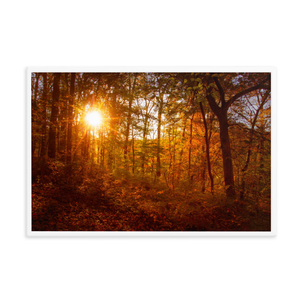 Autumn Sunset in the Trees Rural Landscape Framed Photo Paper Wall Art Prints