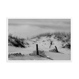 Buried Fences Black & White Coastal Landscape Framed Photo Paper Wall Art Prints