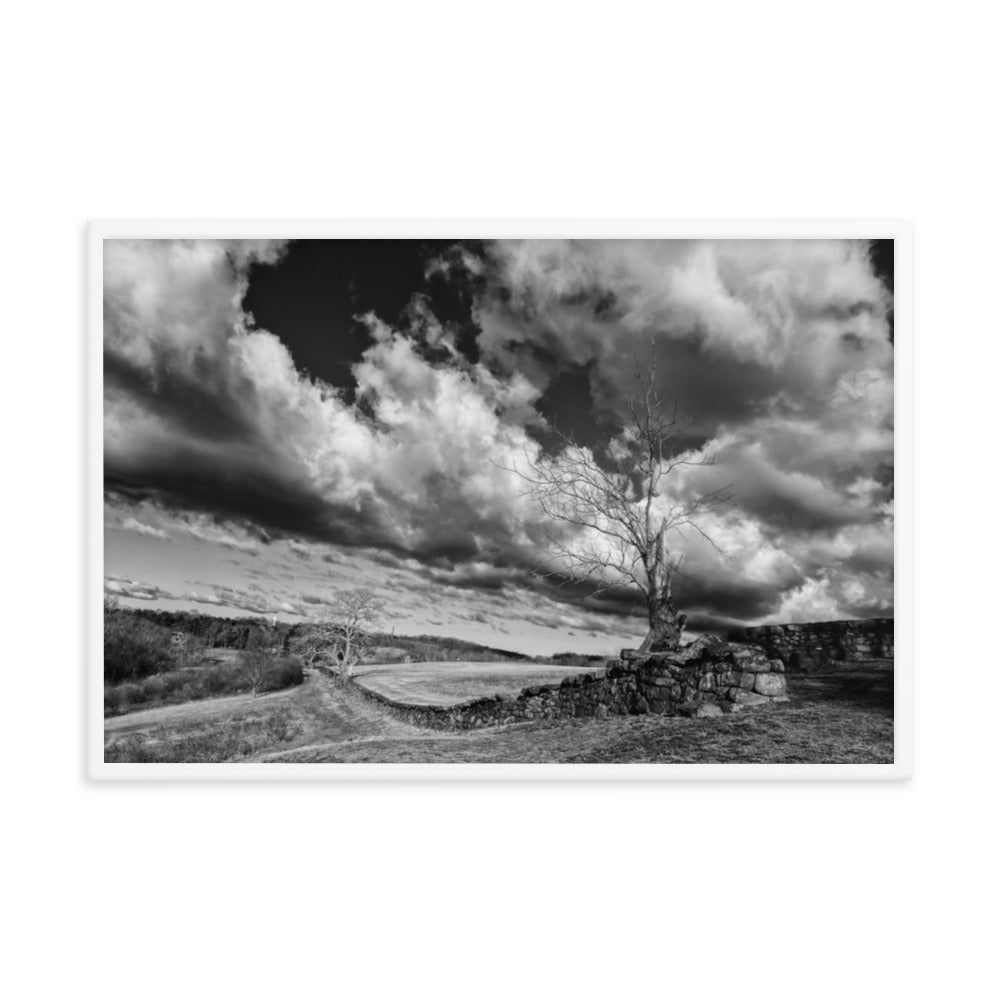 Dead Tree and Stone Wall in Black and White Framed Photo Wall Art Prints