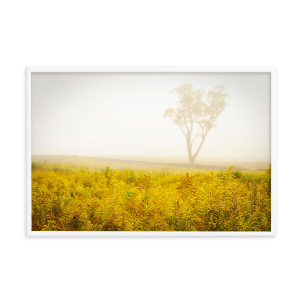 Dreams of Goldenrod and Fog Landscape Framed Photo Wall Art Prints
