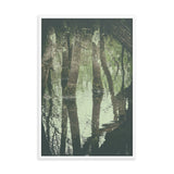Early Spring Reflections on the Marsh Botanical Nature Photo Framed Wall Art Print