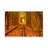 Ukraine Forest Railway Tunnel of Love Landscape Photo Framed Wall Art Print