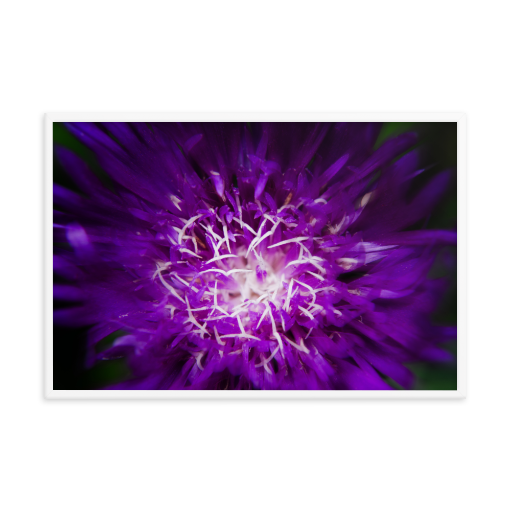 Flower Wall In Living Room: Purple Abstract Flower - Botanical / Floral / Flora / Flowers / Nature Photograph Framed Wall Art Print - Artwork - Wall Decor