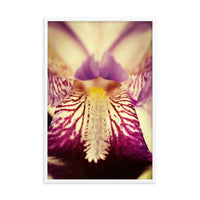 Antiqued Iris Floral Nature Photo Framed Wall Art Print