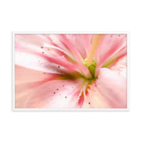 Center of the Stargazer Lily Floral Nature Photo Framed Wall Art Print