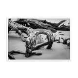 Dead Tree Boneyard Beach Florida 5 Black and White Rustic Landscape Photo Framed Wall Art Print