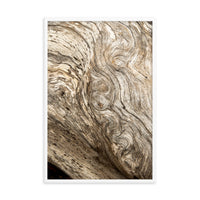 Dead Tree Boneyard Beach Florida Texture Close-up 4 Rustic Nature Photo Framed Wall Art Print