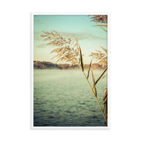 Golden Dreams Botanical Nature Photo Framed Wall Art Print