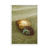 Dreamy Beach Sea Shells Coastal Nature Photo Framed Wall Art Print
