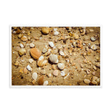 Broken Seashells and Sand Coastal Nature Photo Framed Wall Art Print