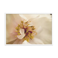 Eye of Peony Moody Midnight Floral Nature Photo Framed Wall Art Print