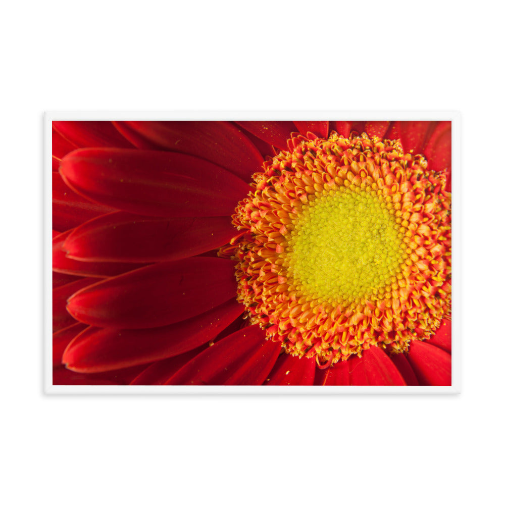 Nature's Beauty Floral Nature Photo Framed Wall Art Print