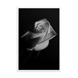 Rose on Black Black and White Floral Nature Photo Framed Wall Art Print