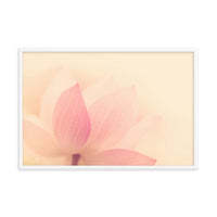 Tranquil Close-up Pink Lotus Petal Framed Photo Paper Poster
