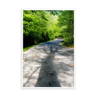 Summer Shadows Botanical Nature Photo Framed Wall Art Print