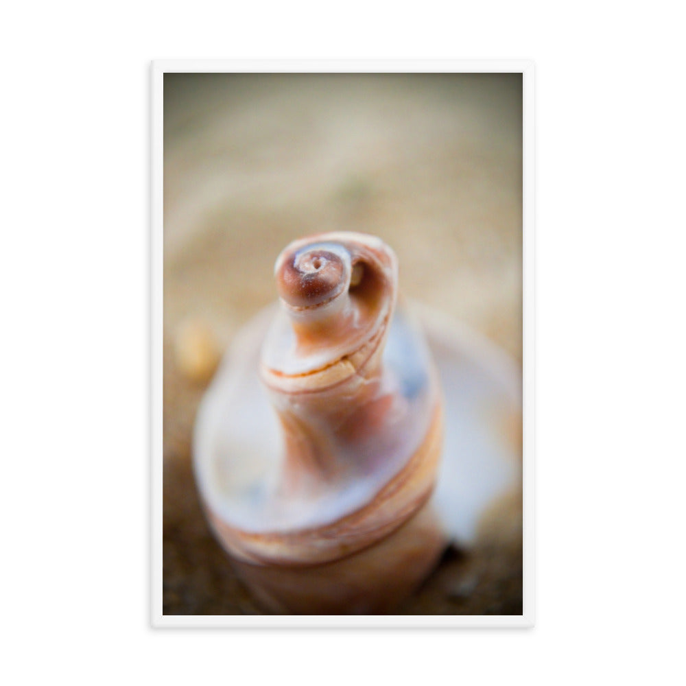 Smooth Erosion Coastal Nature Photo Framed Wall Art Print