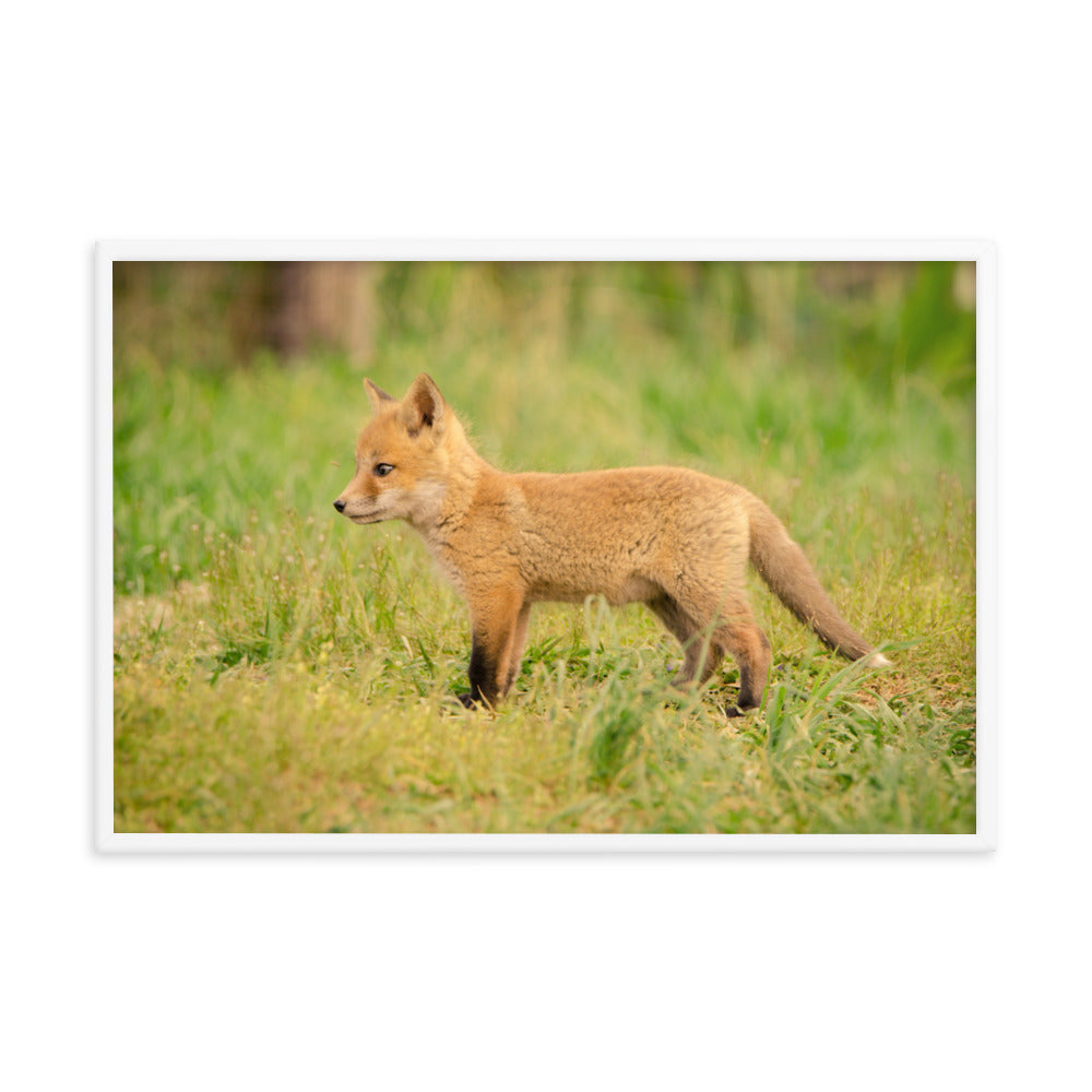 Nursery Wall Decor Neutral: Baby Fox Pup In Meadow/ Animal / Wildlife / Nature Photographic Artwork - Framed Artwork - Wall Decor