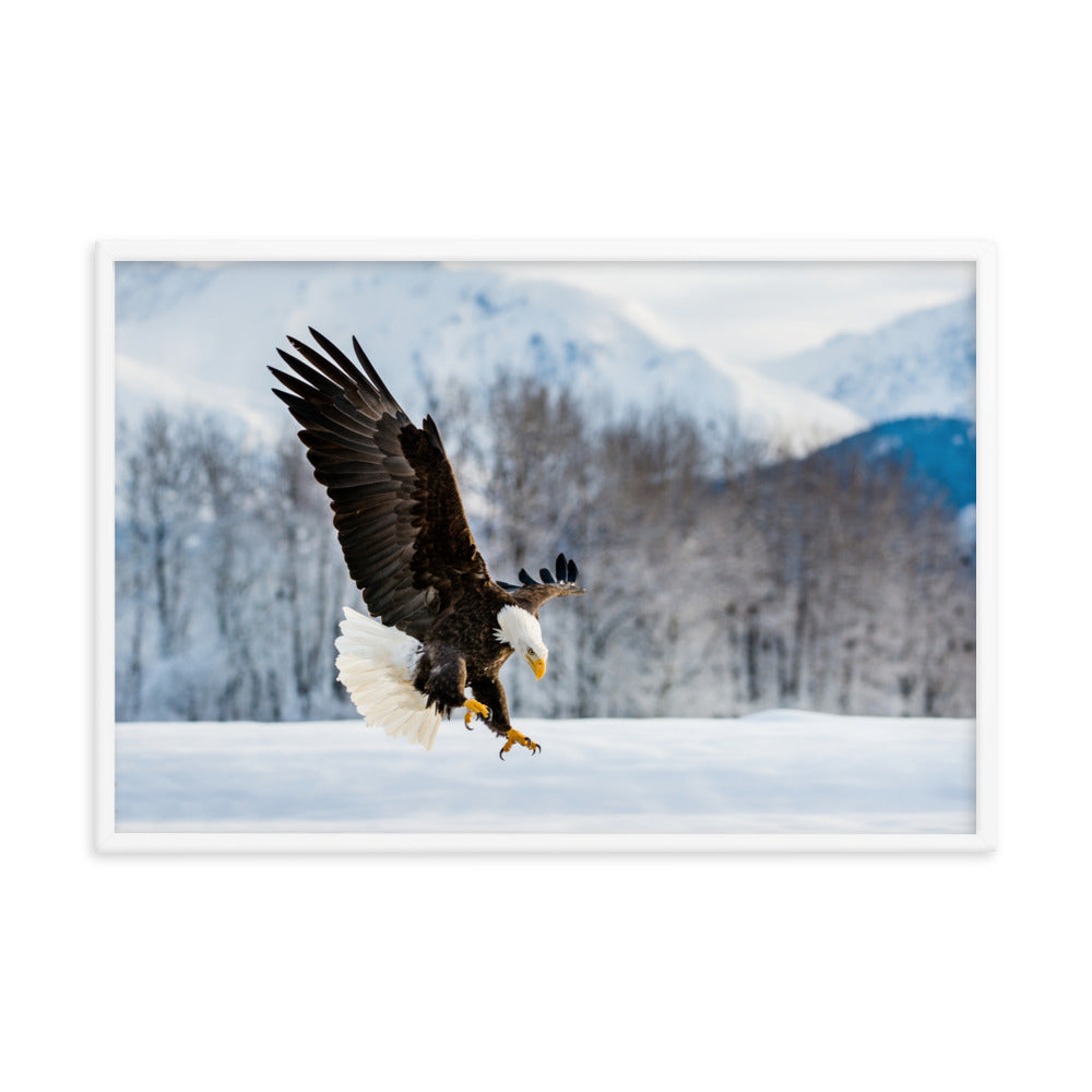 hallway wall art prints, Adult Bald Eagle and Alaskan Winter Animal Wildlife Photograph Framed Wall Art Print