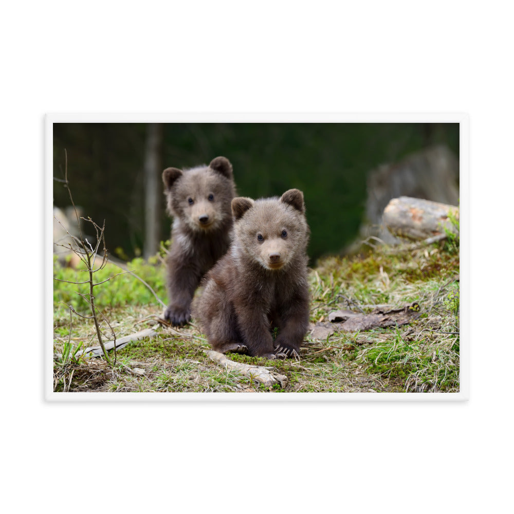 Nursery Wall Decor Neutral: Adorable Cubs In The Trees / Animal / Wildlife / Nature Photograph Artwork - Framed Wall Art - Decor