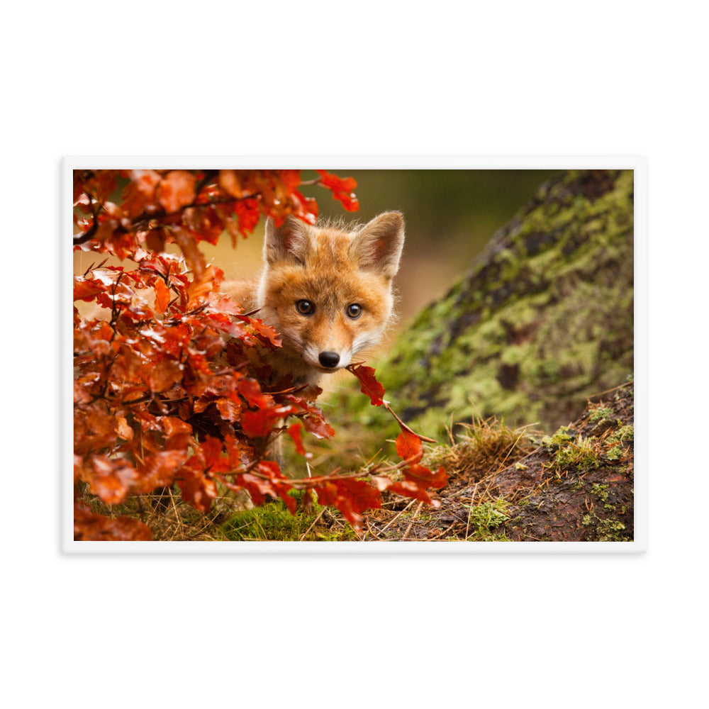 Woodland Animal Decor For Nursery: Peek-A-Boo Baby Fox Pup And Fall Leaves - Animal / Wildlife / Nature Artwork - Wall Decor - Framed Wall Art Print