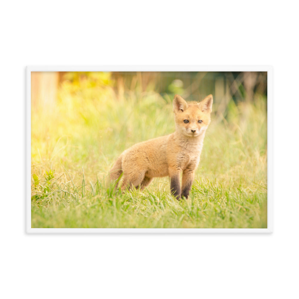 Etsy Nursery Prints: Baby Red Fox in the Sun - Animal / Wildlife / Nature Artwork - Wall Decor - Framed Wall Art Print