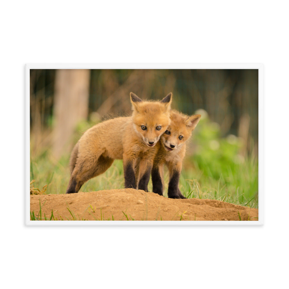 Cool Pictures To Hang Up In Your Room: Close to You Baby Fox Pups - Animal / Wildlife / Nature Artwork - Wall Decor - Framed Wall Art Print