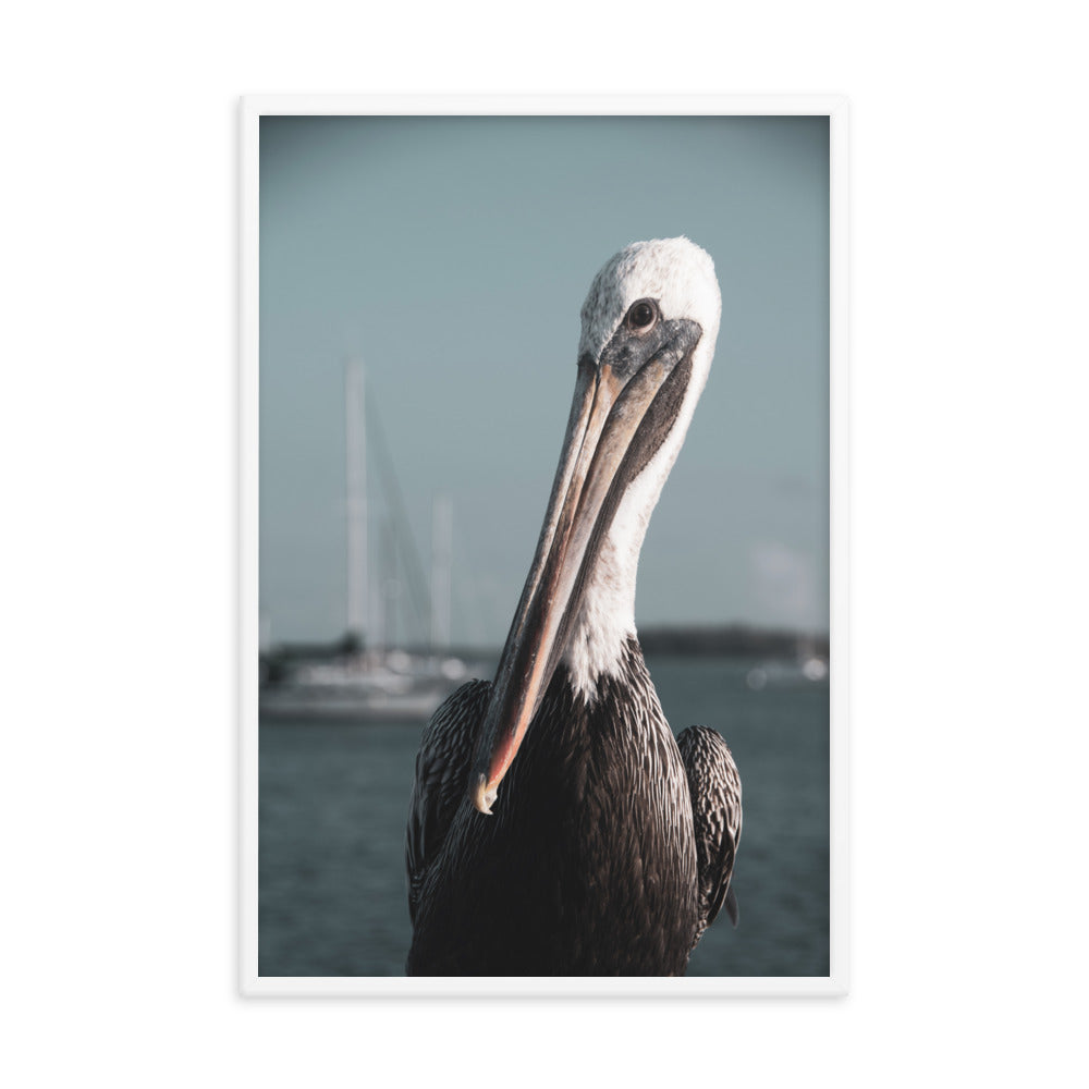 Bob The Pelican Bird 3 Colorized Wildlife Photo Framed Wall Art Prints