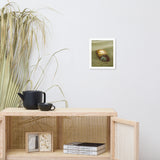 Dreamy Beach Sea Shells Coastal Nature Photo Framed Wall Art Print