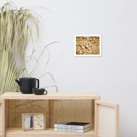 Broken Seashells and Sand Coastal Nature Photo Framed Wall Art Print