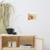 Eye of Peony Moody Midnight Floral Nature Photo Framed Wall Art Print
