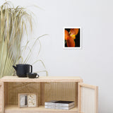 Orange Canna at Longwood Gardens Floral Nature Photo Framed Wall Art Print