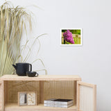 Park Bench with Lilac Floral Nature Photo Framed Wall Art Print