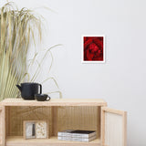 Royal Red Rose Floral Nature Photo Framed Wall Art Print