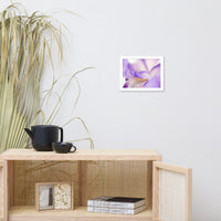 Soft Focus Iris Petals Floral Nature Photo Framed Wall Art Print