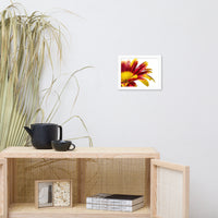 Water Droplets On Mum Petals Floral Nature Photo Framed Wall Art Print