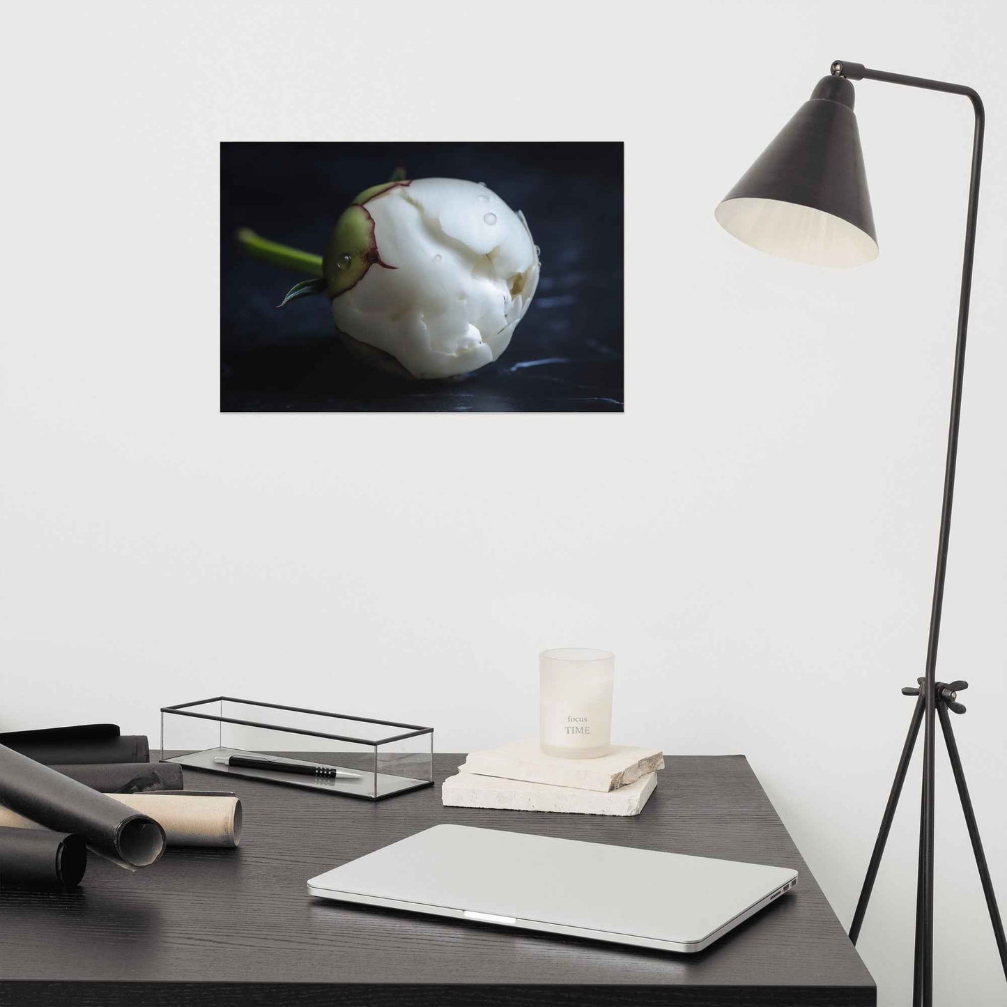 Stark Botanical Peony Bud Floral Photorealistic Digital Artwork Unframed Art Print