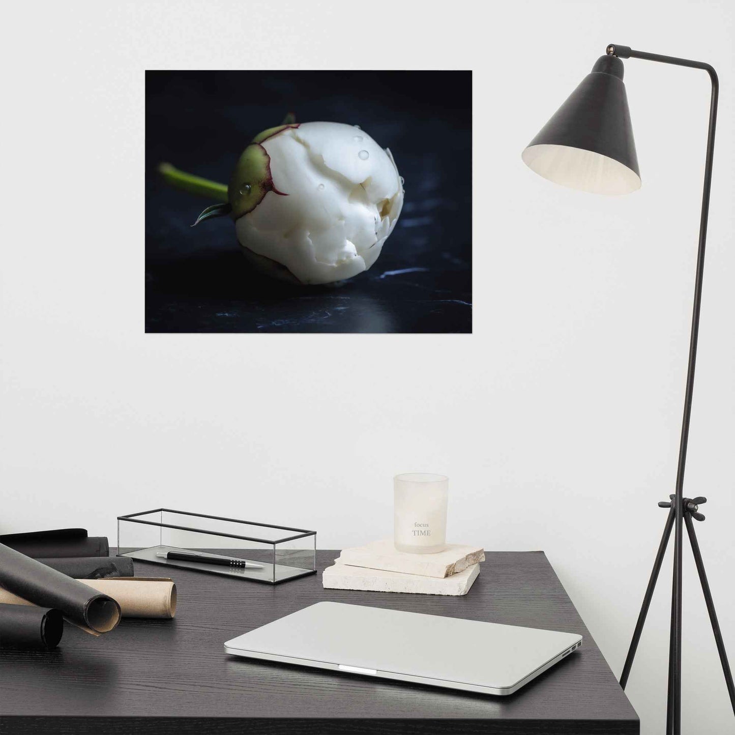 Stark Botanical Peony Bud Floral Photorealistic Digital Artwork Unframed Art Print