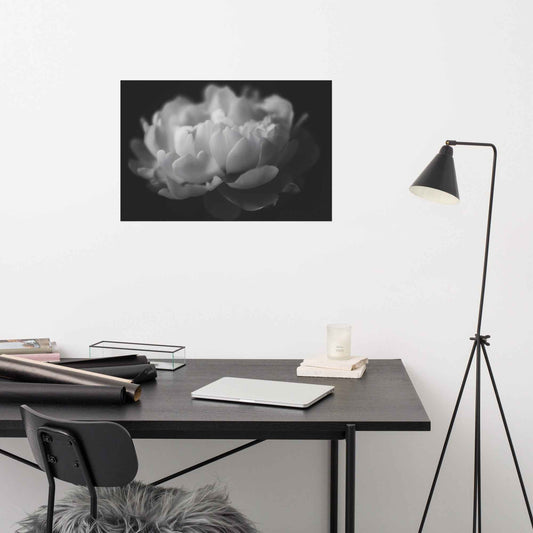 Contrast in Nature Floral Photorealistic Digital Artwork Peonies Wall Art Black and White Loose Art Print